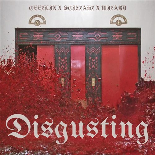 Scizzahz, Wizard  Ceezlin - Disgusting (Original Mix) 