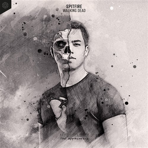 Spitfire - Licht  Schatten (Extended Mix) 