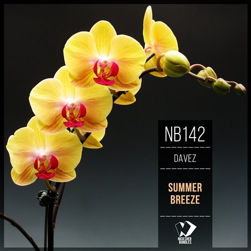 DVBBS  Dave Summer - Reset (Original Mix) 