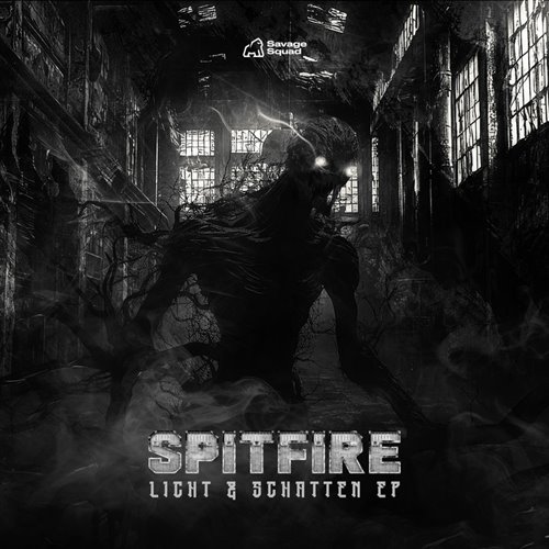 Spitfire - Licht  Schatten (Original Mix) 