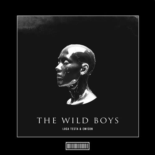 Luca Testa  Emison - The Wild Boys (Techno Remix) 