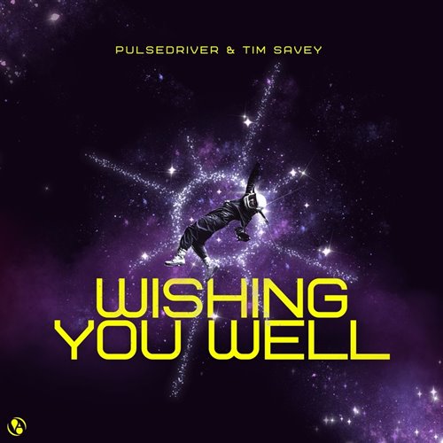Pulsedriver  Tim Savey - Wishing You Well (Original Mix) 