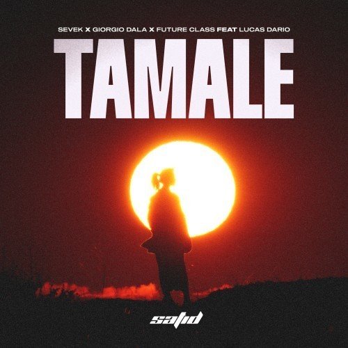 Sevek, Giorgio Dala, Future Class, Lucas Darío - Tamale (Extended Mix) 