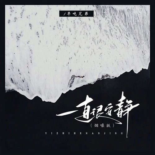 王贰浪一直很安静(Bounce Bootleg) 