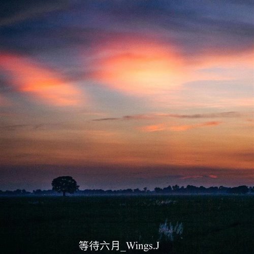 ID 夏天的烟火(HUNTER Bootleg) 