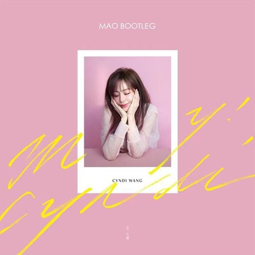 爱你XHY.抖音热播版(bootleg) 