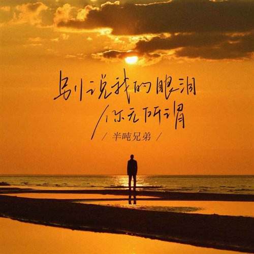 半吨兄弟别说我的眼泪你无所谓(ZEROY Bootleg) 