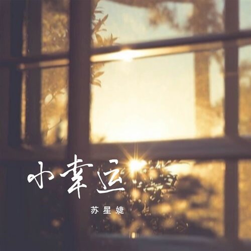 田馥甄小幸运(DragonX Bootleg) 