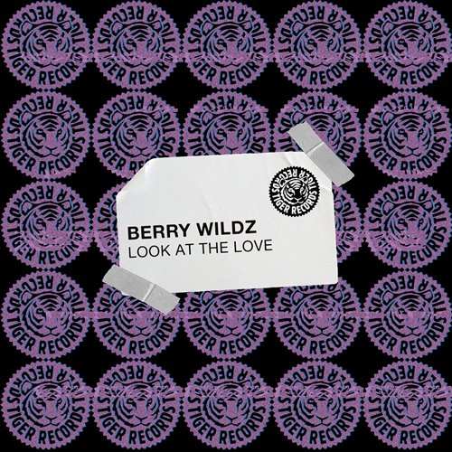 Berry Wildz - Look at the Love (Extended Mix) 