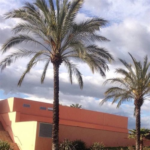 Jay Sean - Ride It (Chaouat Remix) 