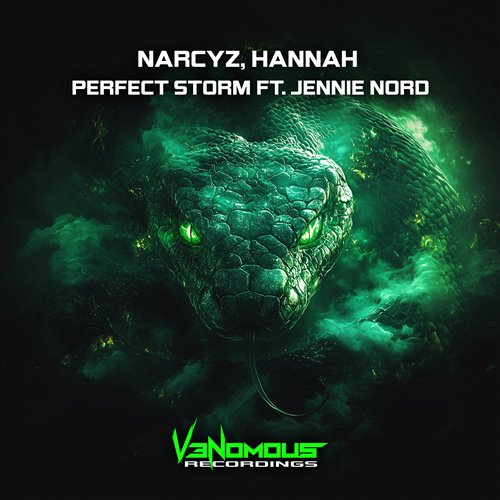 Narcyz, Hannah  Jennie Nord - Perfect Storm (Extended Mix) 