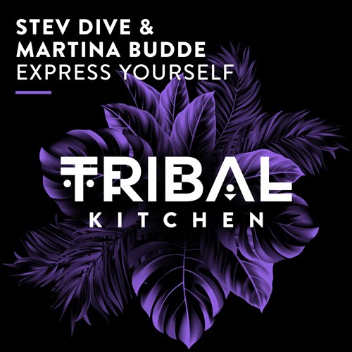Stev Dive, Martina Budde - Express Yourself (Extended Mix) 