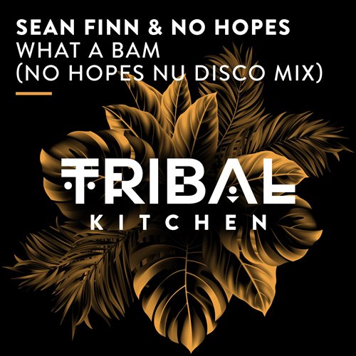 Sean Finn - What a Bam (No Hopes Nu Disco Extended Mix) 
