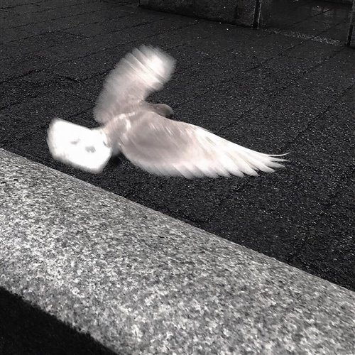 William Black, Siberia, and Freja The Dragon - Waiting On This Day Forever (Original Mix) 