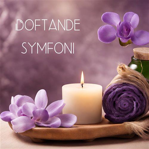 Diplo, SIDEPIECE vs Kamino, MERYLL - On My Mind vs. Up N Down (DanielBoy Mashup) 