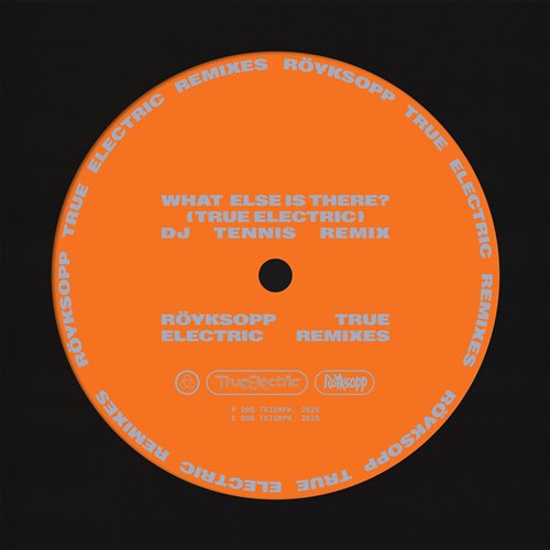 Röyksopp  Fever Ray - What Else Is There  (DJ Tennis Extended Remix) 