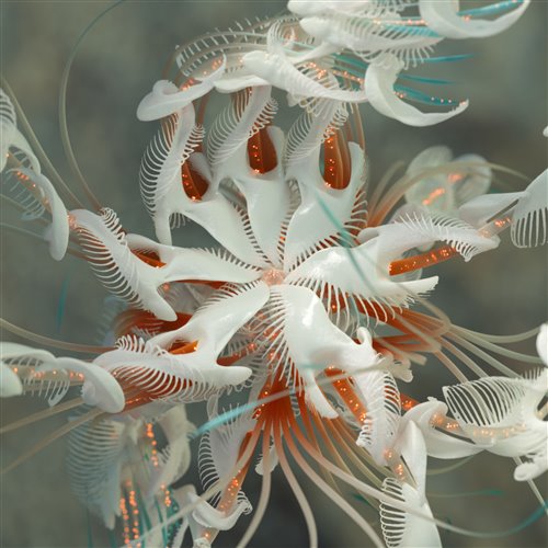 Cassian - SOS (Extended Mix) 