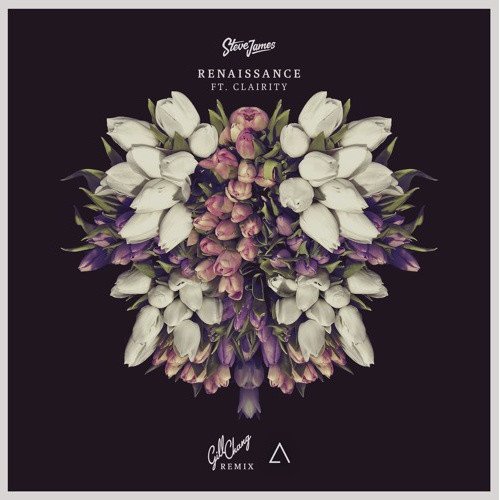 Renaissance  Taylr Renee - Dust (Extended Mix) 