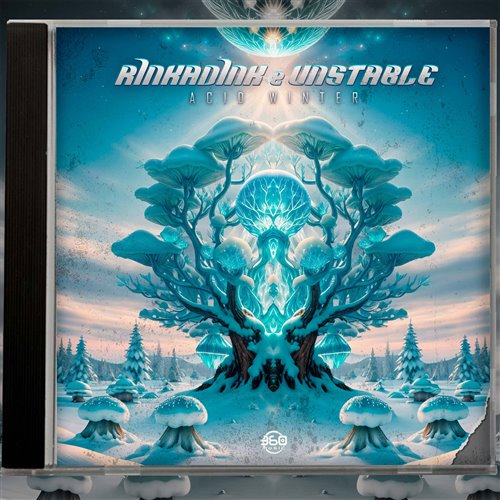 Unstable, Rinkadink - Acid Winter 