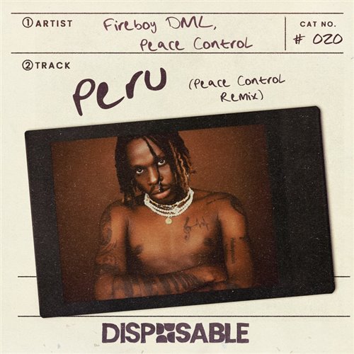 Fireboy Dml Peace Control - Peru (Peace Control Remix) (Intro Clean) 117