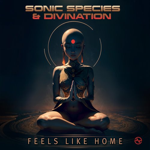 Sonic Species, Divination - Feels Like Home 