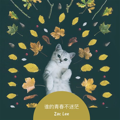 DoubleC,释怀 Bootleg - [谁的青春不迷茫]