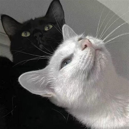 Craig David - Insomnia(FY鱼 Bootleg)