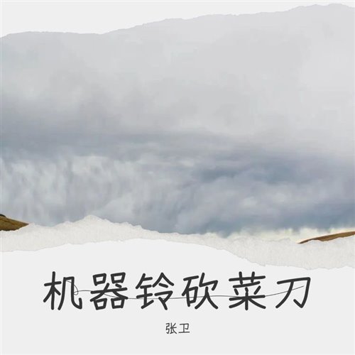 张卫 - 机器灵 砍菜刀（DoubleC Bootleg）