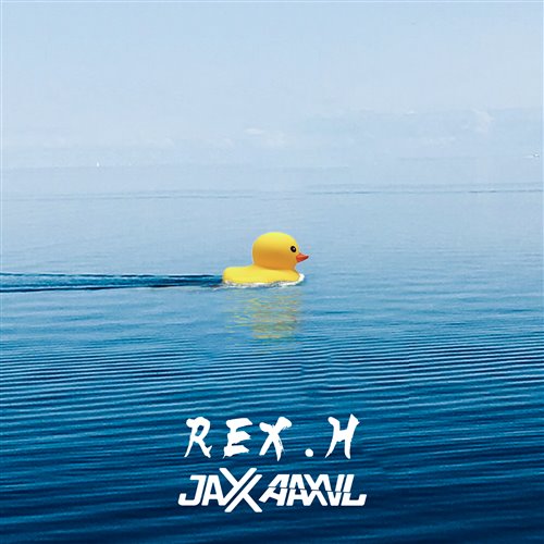 Jaxx Aaxvl-REX.H - 郑智化 - 水手（Jaxx Aaxvl - REX.H Bootleg） 