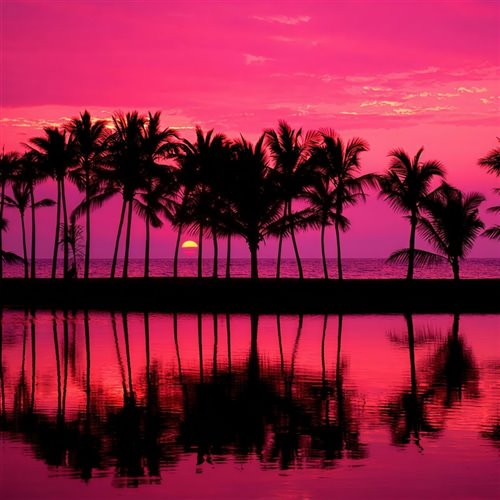 花儿乐队-洗刷刷(Harddance-凯里Carey FLIP) 