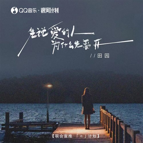 田园 - 先说爱的人为什么先离开(Dj Leo Extended Mix)