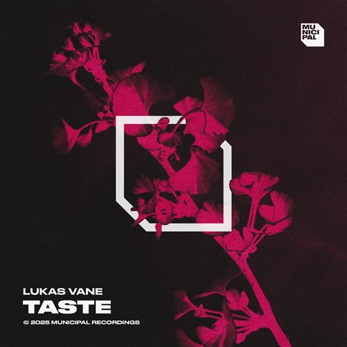 Lukas Vane - Taste (Extended Mix) 