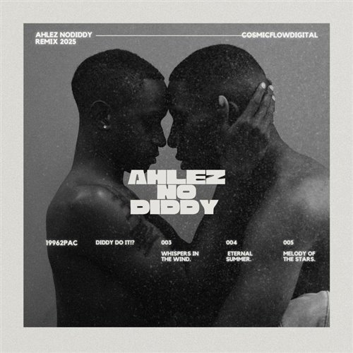 快乐指南- 2025 Remix (王龍Bootleg)