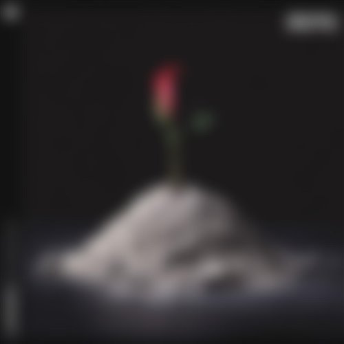 Brynny - Show You(ROC)