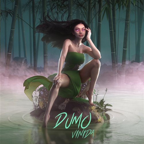 Dak Knght Dumo (CHLNT Remix) 