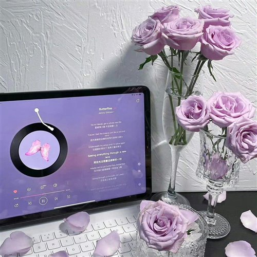 talking to the moondoja(morii mashup) 