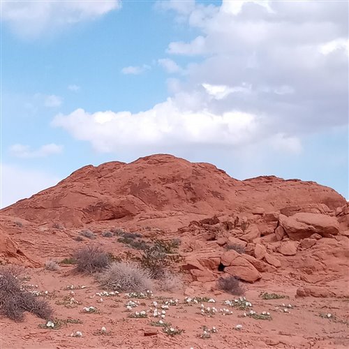 Tim Clark - Forever (Extended Mix) 