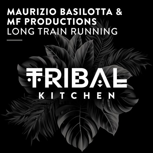 Maurizio Basilotta  MF Productions - Long Train Running (Extended Mix) 