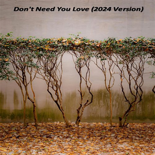 Don t need you love（DJ Ryan Rework）