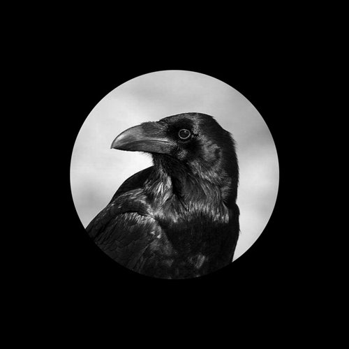 IcePaper-心如止水 (Cylanz青蓝 ID Mix)