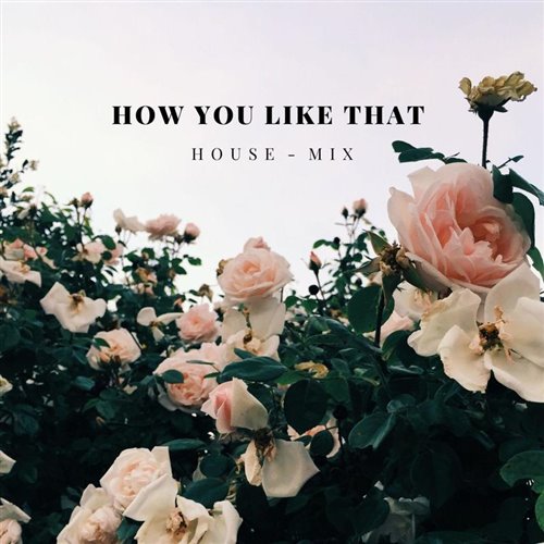 How You Like That (EDM Techno Remix)