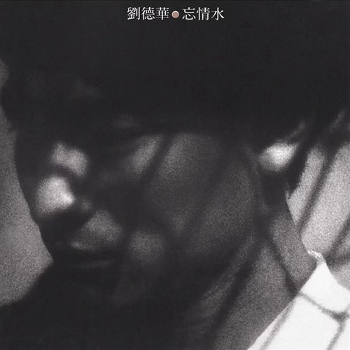 刘德华 - 忘情水(niko小熊bootleg)