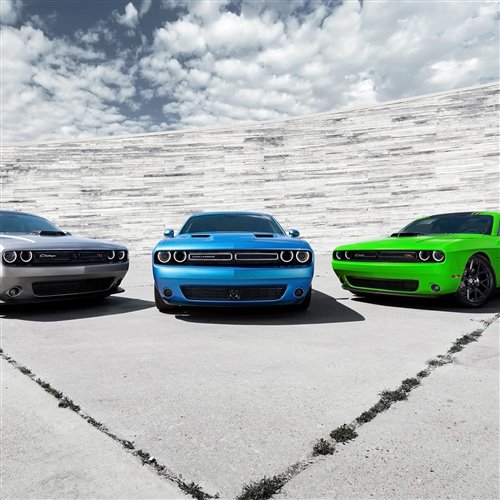 阿厦 - 飒(文文,释怀 Bounce Bootleg)