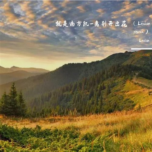 就是南方凯-离别开出花Lexian remix