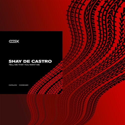 Shay De Castro - Tell Me That You Want Me (Original Mix) 