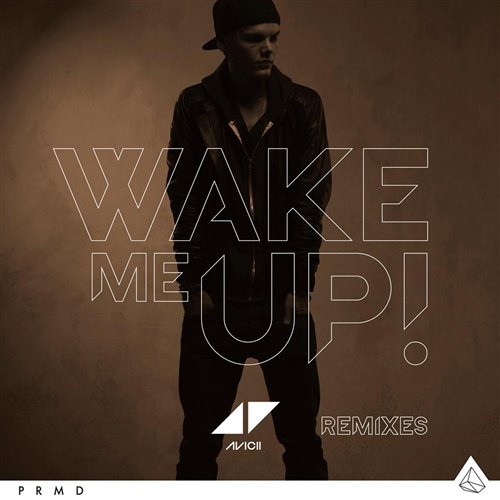 Avicii - Wake Me Up (Tatsunoshin Festival Mix)