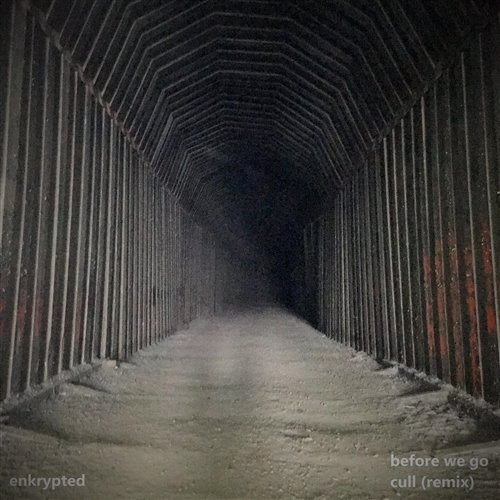 Psychotik, skryption - Before We Burn (Original Mix) 