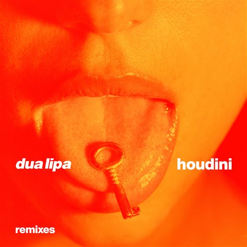 Dua Lipa - Houdini (Greg Aven Remix)