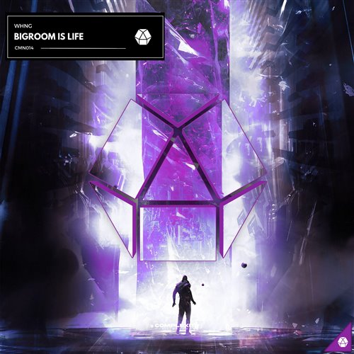 WHNG - Bigroom Is Life (Radio Edit)