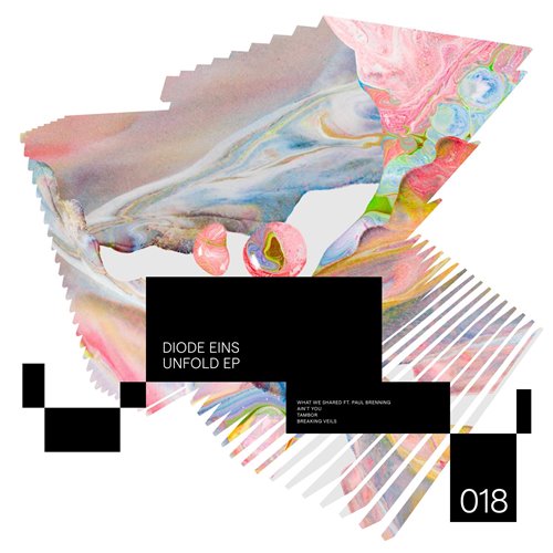 Diode Eins  Paul Brenning - What We Shared (Original Mix) 